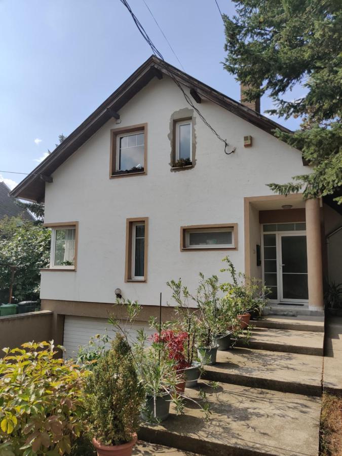 Dali Apartment Szentendre Exterior foto